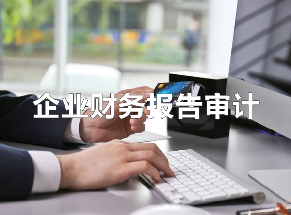 財務(wù)審計